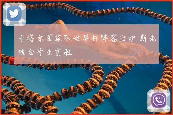 卡塔尔国家队世界杯阵容出炉 新老结合冲击首胜
