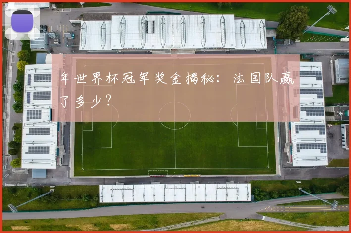 年世界杯冠军奖金揭秘：法国队赢了多少？