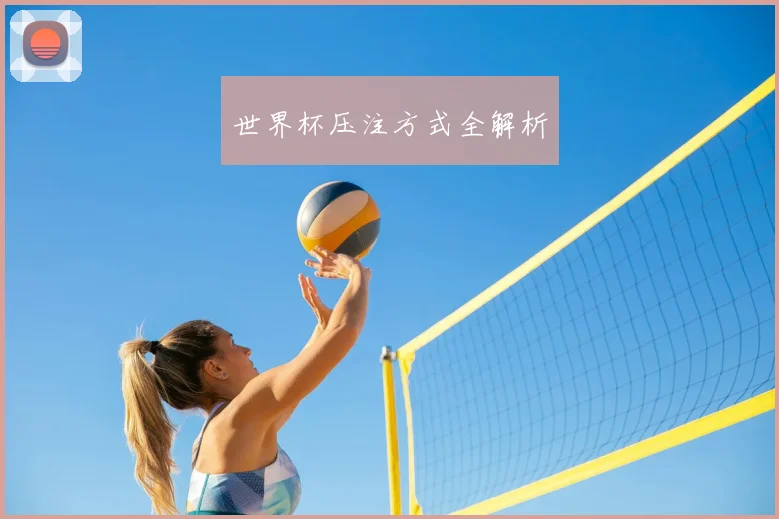 世界杯压注方式全解析
