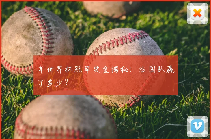 年世界杯冠军奖金揭秘:法国队赢了多少?