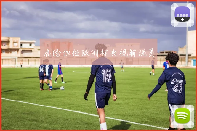 鹿晗担任欧洲杯央视解说员