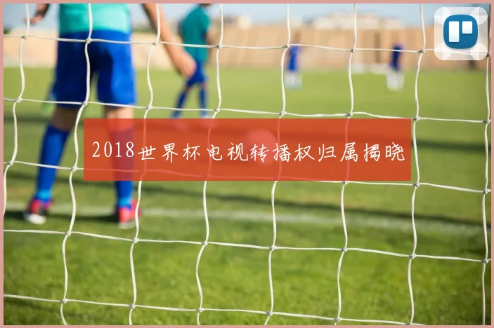 2018世界杯电视转播权归属揭晓