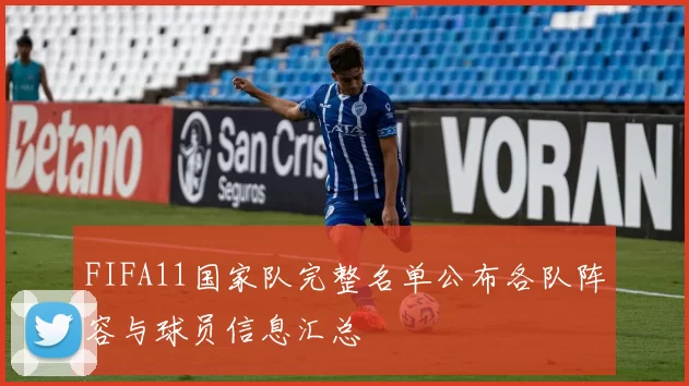 FIFA11国家队完整名单公布各队阵容与球员信息汇总