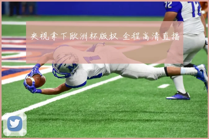 央视拿下欧洲杯版权 全程高清直播