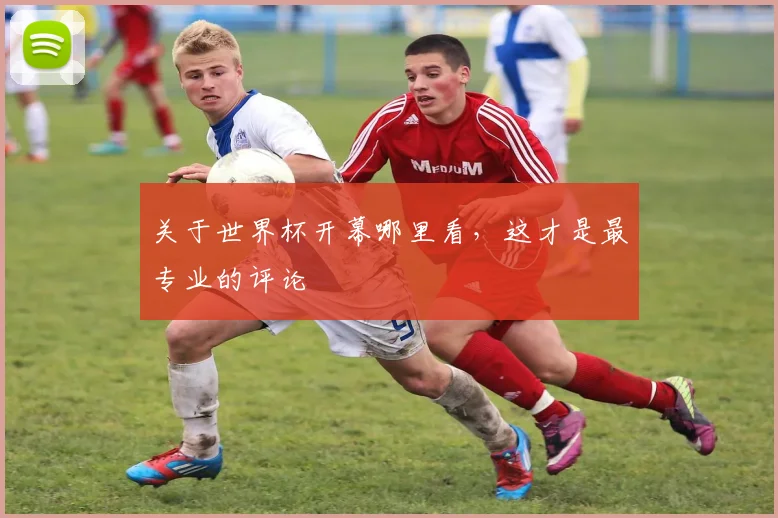 关于世界杯开幕哪里看，这才是最专业的评论